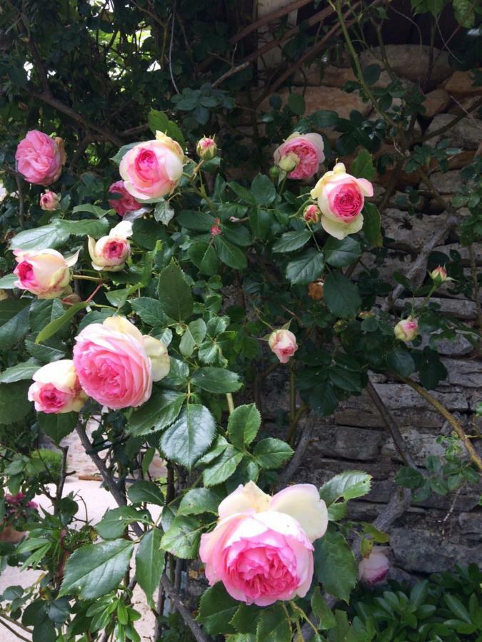Bed & Breakfast Le Couvent 5*